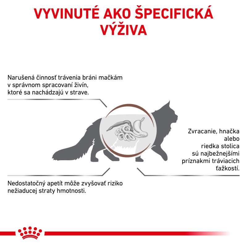 vhn-cat-gastrointestinal-11